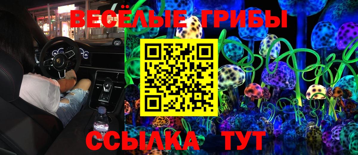 Галлюциногенные грибы Psilocybe Строитель